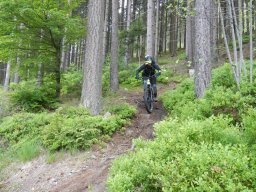 Baiersbronn (25.-26.05.2019)